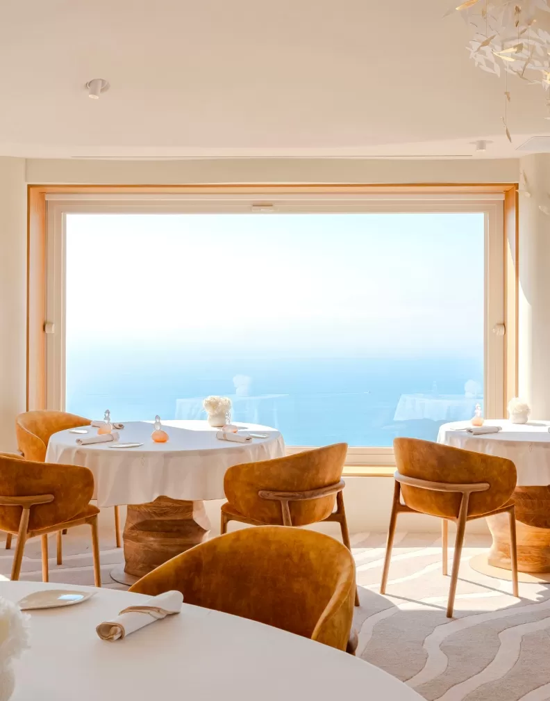 Hotel Stay & Gastronomic Discovery